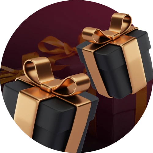 Coinbet24.com