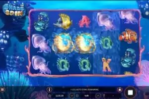 Bets play